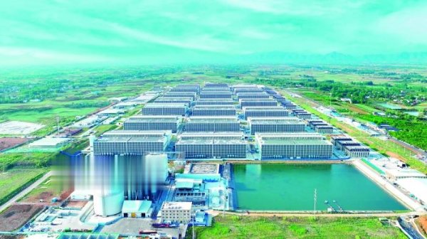 在配资炒股 从22头猪起步到行业龙头 牧原股份的“猪哲学”与“养猪科技”