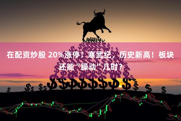 在配资炒股 20%涨停！寒武纪，历史新高！板块还能“躁动”几时？